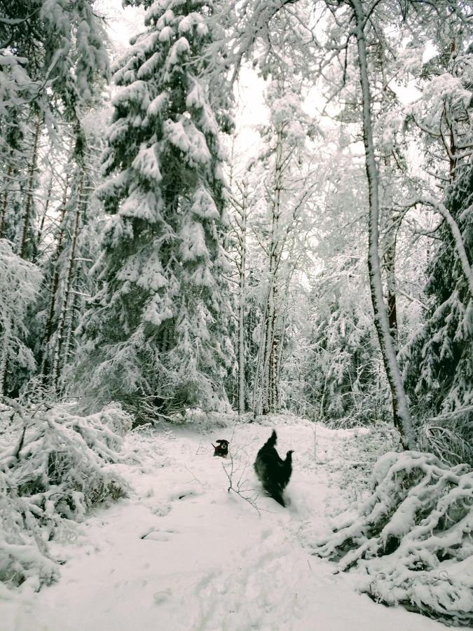 Stuga Glaskogen Glava Экстерьер фото